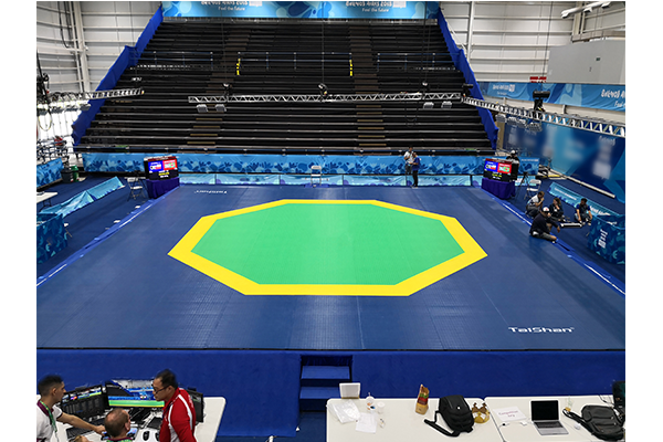 跆拳道场地(新型八角)