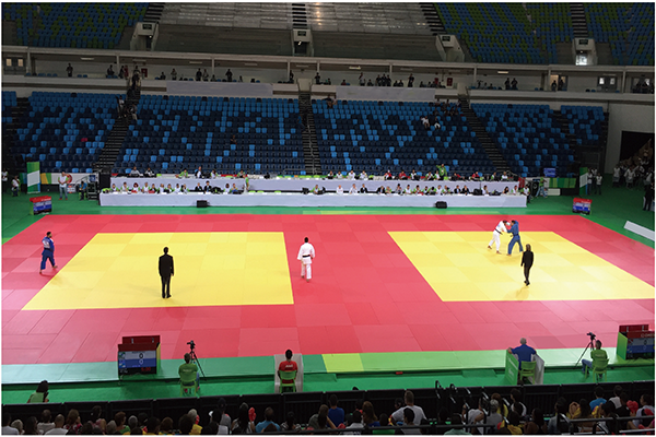 柔道场地（训练型） 